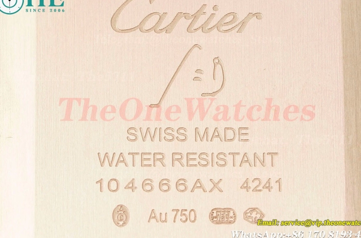 Dumont Dial Silver Brown Santos Quartz LE RG AF Dia 0313